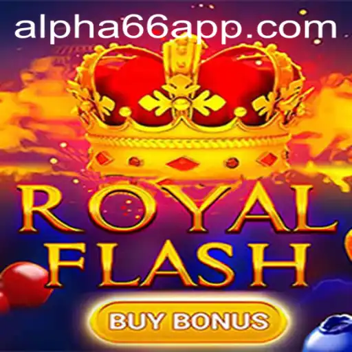 Exploring RoyalFlashBuyBonus in the Context of Alpha66